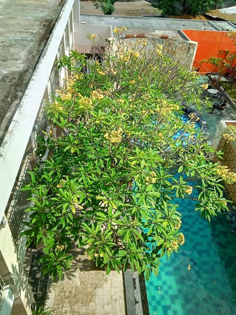 Yogyakarta Indonesia, 27 may 2021, someone is sitting by the poolside of the Bueno Colombo hotel, Sleman Yogyakarta photoのeditorial素材