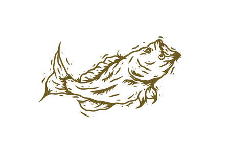 Big bass fish illustration drawing design