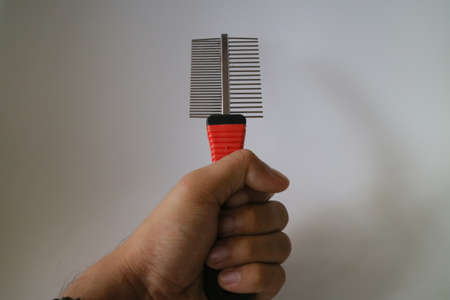 comb for combing dog or cat hair photoの写真素材