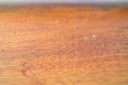polished outdoor wooden table texture photoの写真素材
