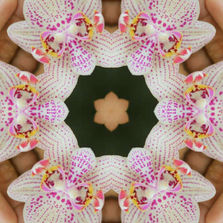 Colorful and unique abstract mirror background designの写真素材