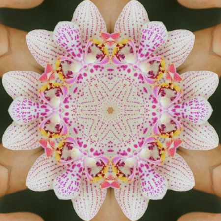 Colorful and unique abstract mirror background designの写真素材