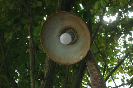 round lamp under a shady tree photoの写真素材