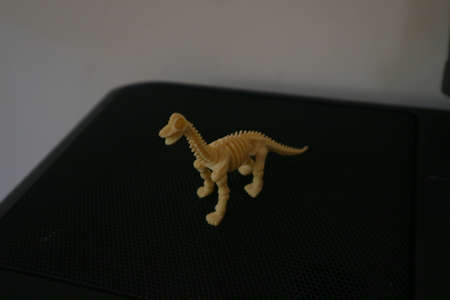 Funny dinosaur skeleton toy on the table photo