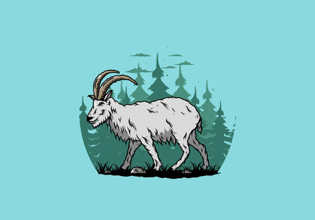 Illustration design of a Hairy mountain goat with long hornsのイラスト素材