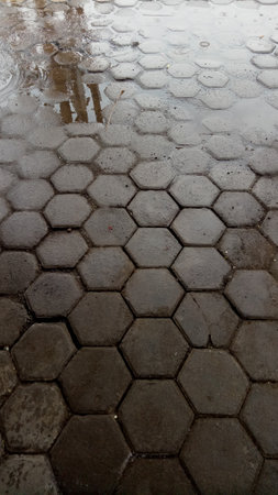 a photo of the floor outside the house made of hexagon shaped cement bricks