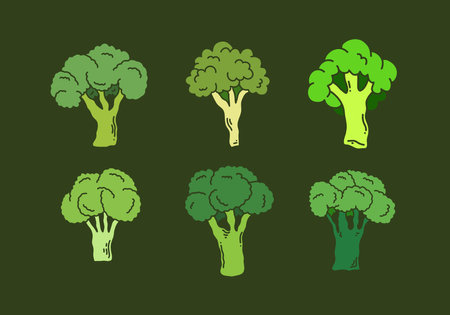Flat illustration design of Green color of broccoli setのイラスト素材