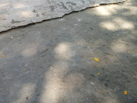 A Photo of a floor made of cement with a shade of a shady tree during the dayの写真素材