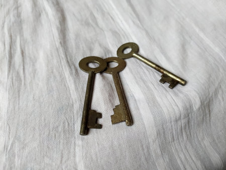 Photo of some old door locks in vintage colorの写真素材
