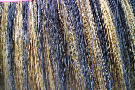 photo of texture of coconut fiber broom with yellow black colorの写真素材