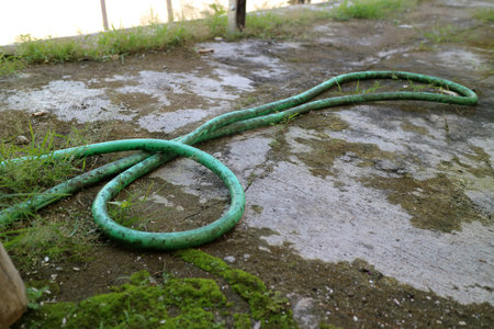 Photo of A green water hose with a layer of moss, lying messy outside the houseの写真素材
