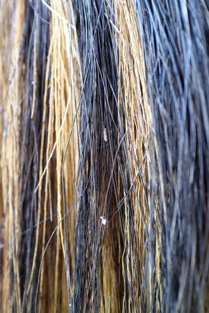 photo of texture of coconut fiber broom with yellow black colorの写真素材