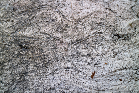 Rough concrete surface with natural dirt, stains, and wavy scratches. Ideal for background, overlay,...