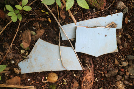 Pieces of blue wood or painted material scattered on the ground among leaves and soil, showcasing a...