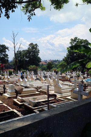 A serene cemetery with white tombstones under a clear blue sky, surrounded by lush greenery.
