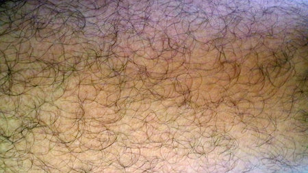 Close up of human skin with dense hair growth, showing texture.の写真素材
