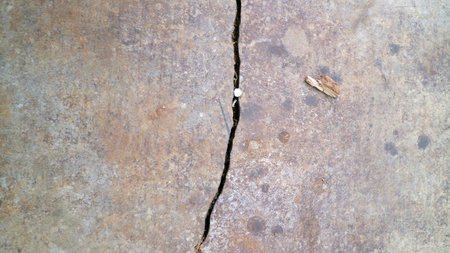 Close up of a cracked concrete surface with a small pebble lodged in the crack.