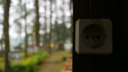 Close-up of an outdoor electrical socket on a wooden post with blurred forest background.
