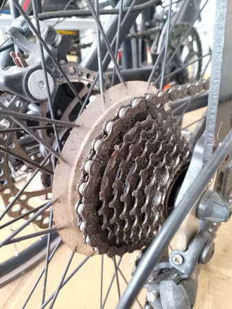 Close up of bicycle rear wheel cassette and chain with spokes and disc brake rotor, showing greasy...