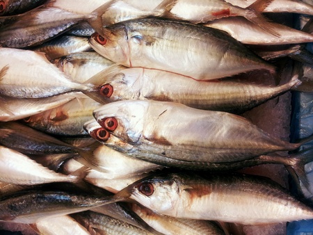 Fish at marketの素材