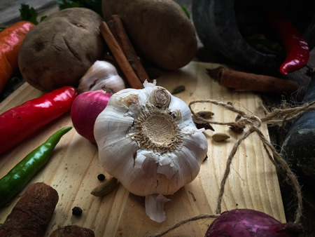 herb and spices for cookingの写真素材