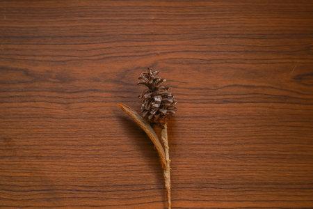 Modern Handmade cotton cloth face mask protective against dust and virus top view. Coronavirus preventive cotton mask. Homemade face mask. DIY concept. Face shield mask on wooden backgroundの写真素材