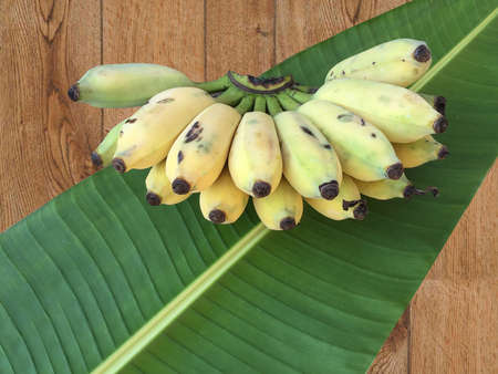 Cultivated Banana, Thai Banana and green banana leafの写真素材