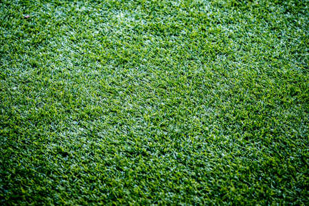 Artificial grass  background and closeupの写真素材