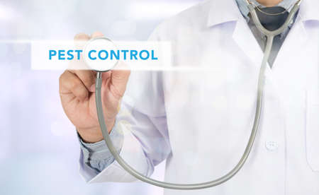 Medicine doctor hand working,Pest Control sign virtual screenの写真素材