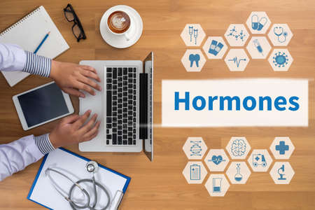 Hormones Business development Professional doctor use computer and medical equipment all around, desktop top view, coffeeの写真素材