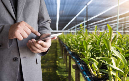 Agriculture technology concept man Agronomist Using a Tablet in an Agriculture Field read a report