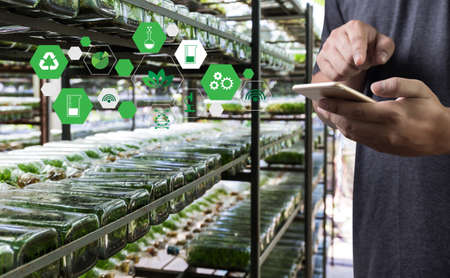 Agriculture technology concept man Agronomist Using a Tablet in an Agriculture Field read a reportの写真素材