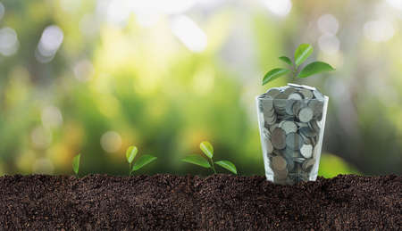 Money (coins) inscription "save"  business, saving, growth, economic Investment And Interest conceptの写真素材