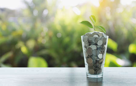 Money (coins) inscription "save"  business, saving, growth, economic Investment And Interest conceptの写真素材