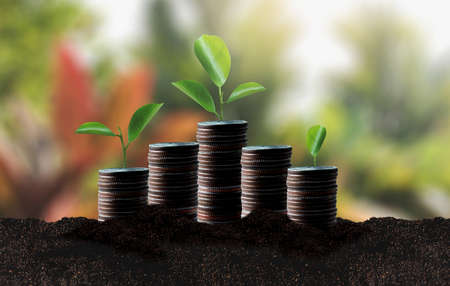 Growing Savings Coins Investment growing graph business development and eco