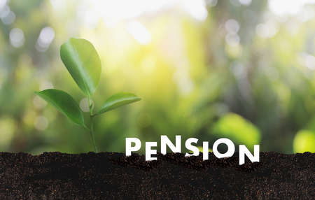 Pension money savings financial concept and retirement and people Investment growingの写真素材