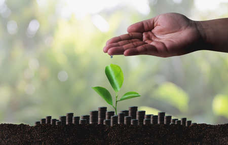 Growing Savings Coins Investment growing graph business development and ecoの写真素材