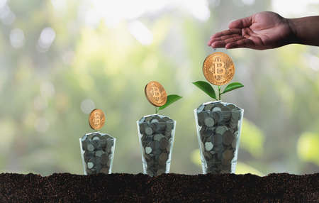 Financial golden Bitcoins ladder growth concept Crypto currency Bitcoins blockchain technology