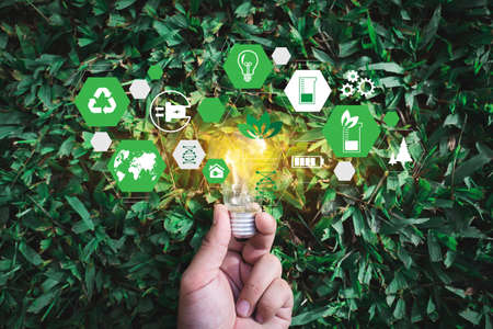 Team  Business  energy use, sustainability Elements  energy sources sustainableの写真素材