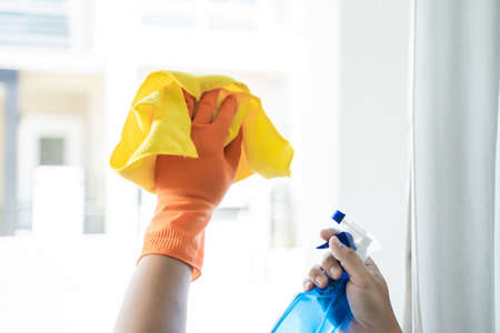 cleaning company concept man Cleaning the Windows