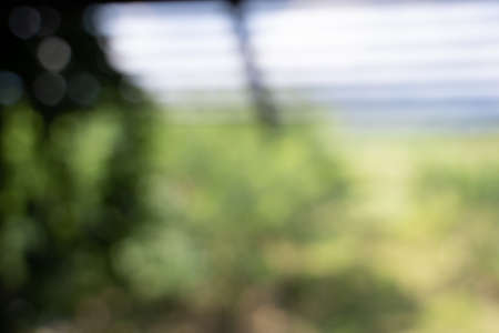 Blur restaurant interior office blur background with bokehの写真素材