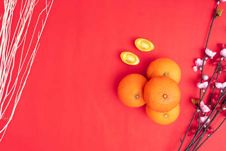 Chinese new year festival decorations healthy and wealth orangeの写真素材