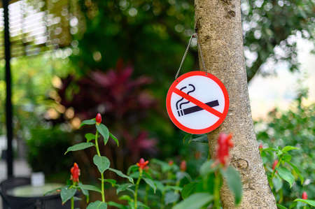 No smoking sign with place Don't smoking sign parkの写真素材