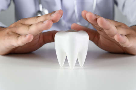 dental  concept Dental model and dental equipment dental hygiene Dentist toolsの写真素材