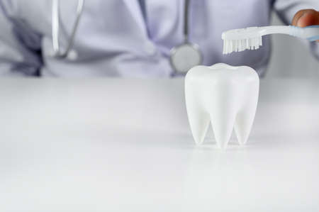 Dental hygiene and education Tooth, health, dentistry conceptの写真素材