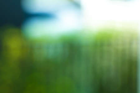 bokeh background bokeh blurry office  green bokeh backgroundの写真素材