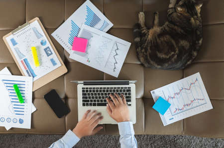man and cat work from home Distance study concept home work space laptop  at home Online Group...