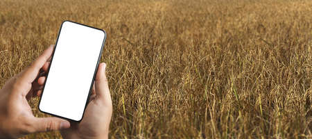 Agriculture technology concept man Agronomist Using a Tablet in an Agriculture Field read a report