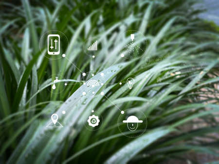 technology Digital marketing Businessman innovation technology strategy on laptop computerの写真素材