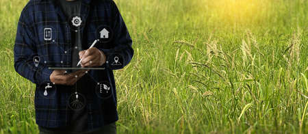 Agriculturist  Young farmers man using tablet computer analysis data check data network in the...
